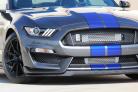 2015-2019 Mustang GT350 ProCharger Intercooled System With P-1SC-1